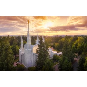 Portland Oregon Temple Recommend Holder